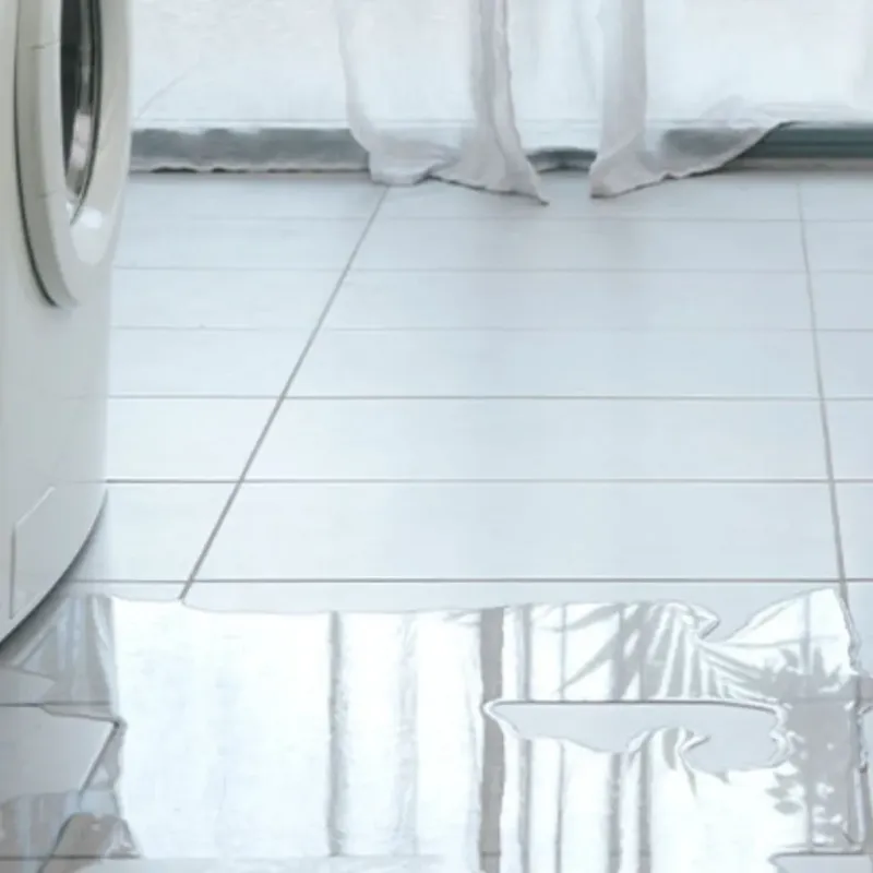 Appliance Leak Cleanup in Tahoe Vista, CA