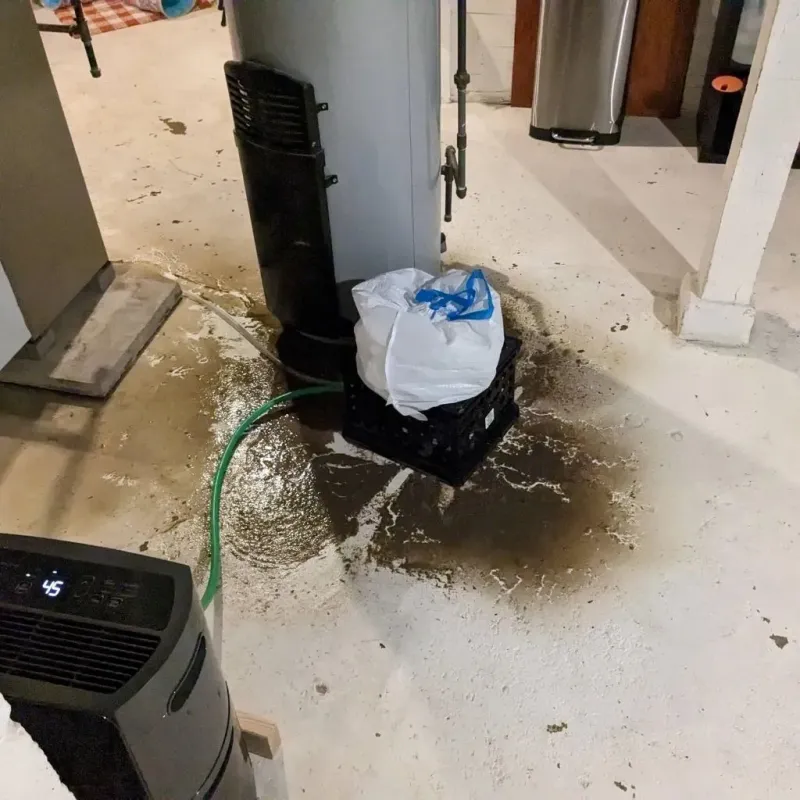 Sewage Backup Cleanup Service in Tahoe Vista, CA